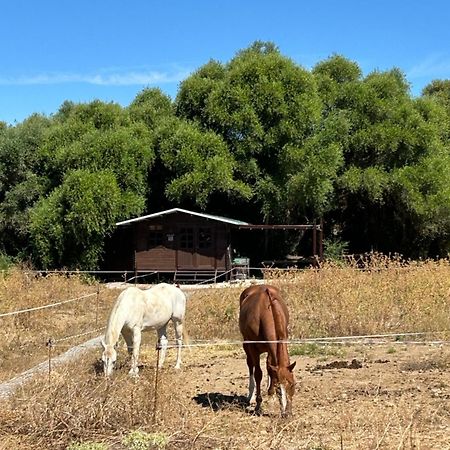 Cabana Rustica En Un Rancho Con Caballos, Prado Del Rey, Andalucia Exterior photo