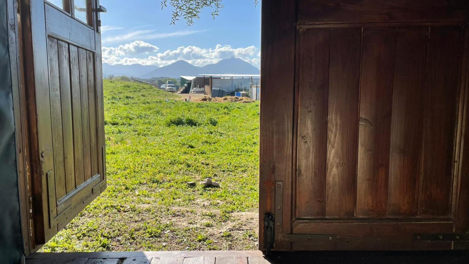 Cabana Rustica En Un Rancho Con Caballos, Prado Del Rey, Andalucia Exterior photo