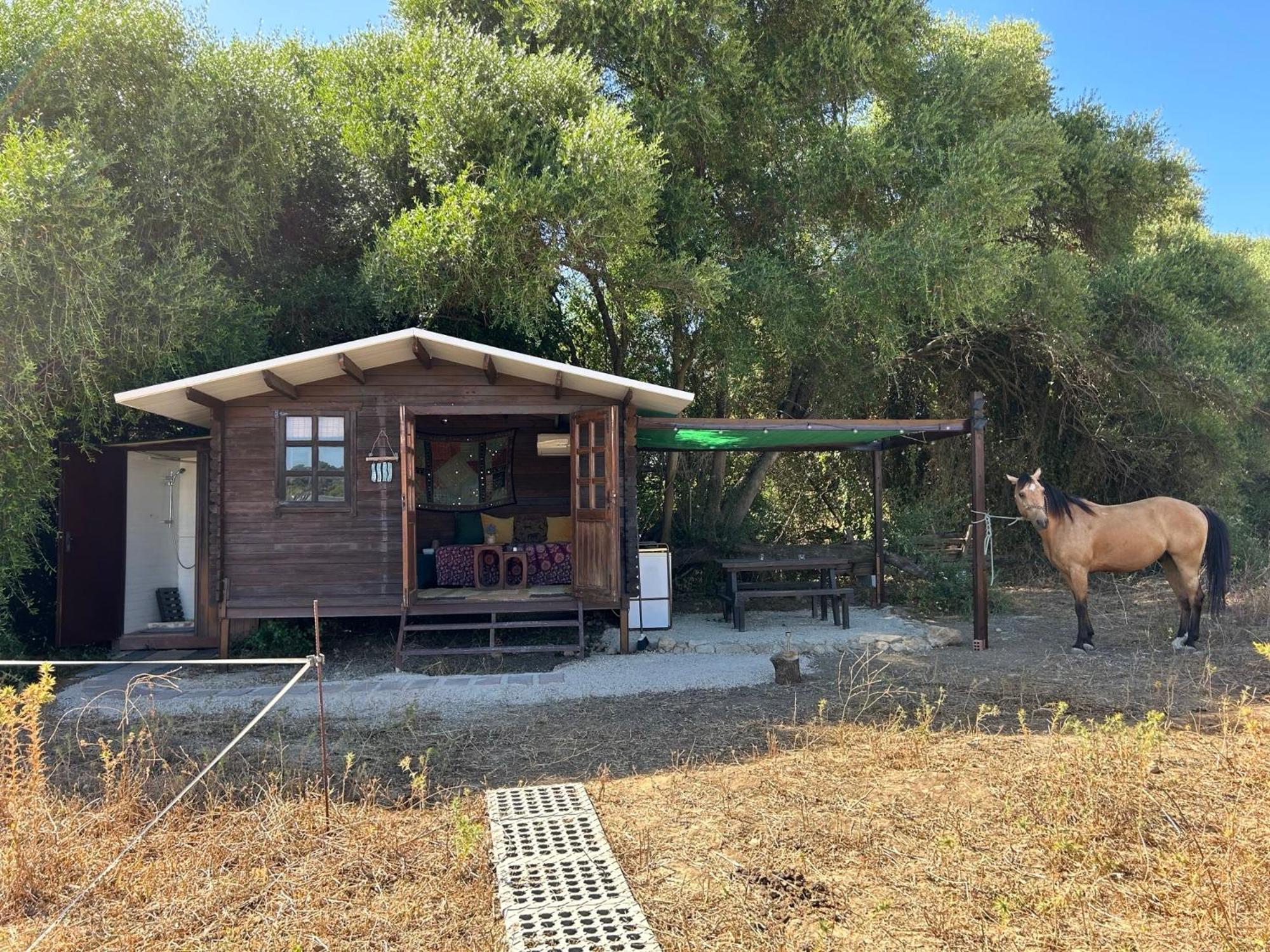 Cabana Rustica En Un Rancho Con Caballos, Prado Del Rey, Andalucia Exterior photo